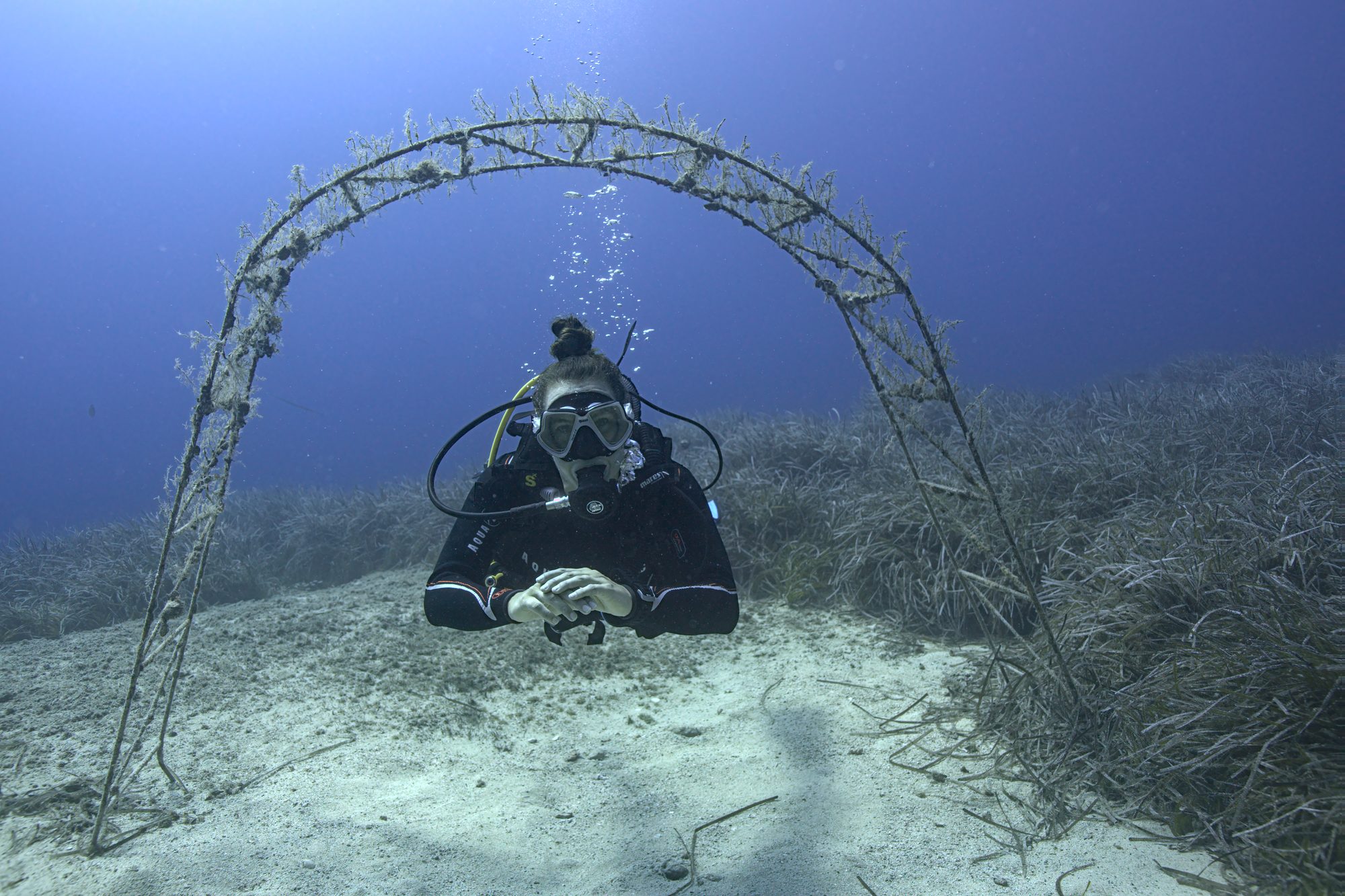 Mediterranean Diving Adventures - Get Wet Divers Protaras
