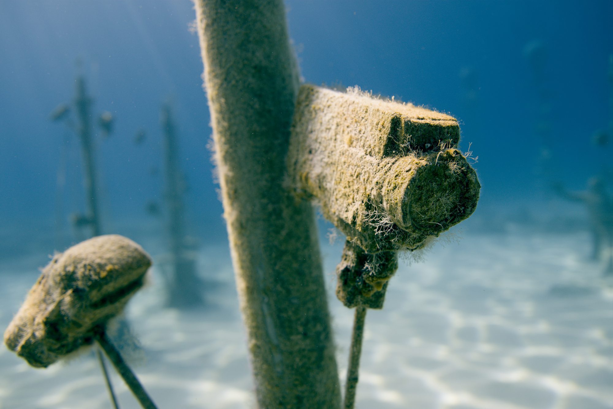Personalized Guidance - Get Wet Divers Protaras