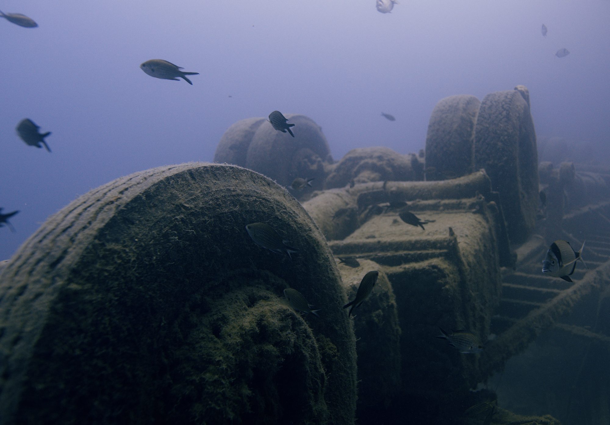 Memorable Diving Moments - Get Wet Divers Protaras